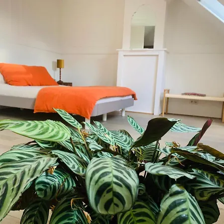 Maison D'artiste Гент