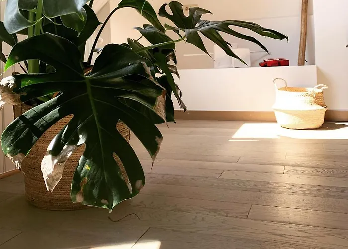 Maison D'artiste Гент