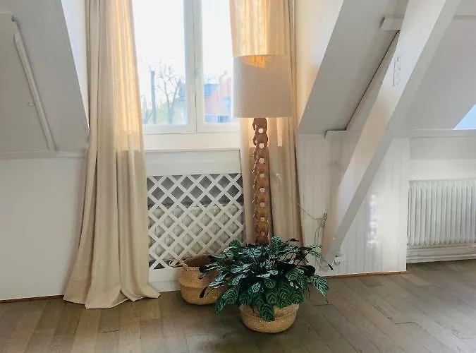 Maison D'artiste Готель типу 