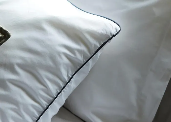 Maison D'artiste Готель типу 